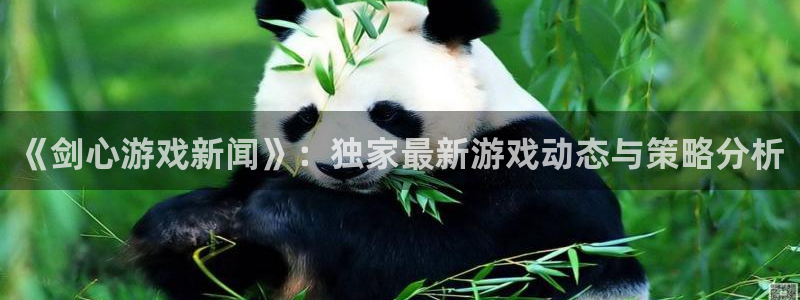 星欧娱乐注册开户：《剑心游戏新闻》：独家最新游戏动态与策略分