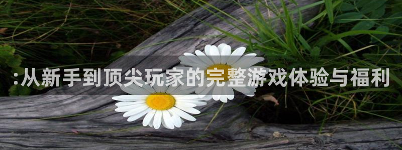 星欧娱乐咨询：:从新手到顶尖玩家的完整游戏体验与福利