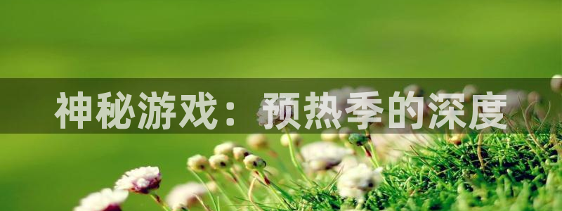 星欧娱乐平台官方网站：神秘游戏：预热季的深度