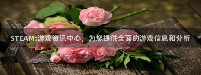 星欧娱乐app下载|下载地址：STEAM:游戏资讯中心，为您