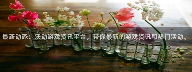 星欧娱乐平台：最新动态：沃动游戏资讯平台，带你最新的游戏资讯