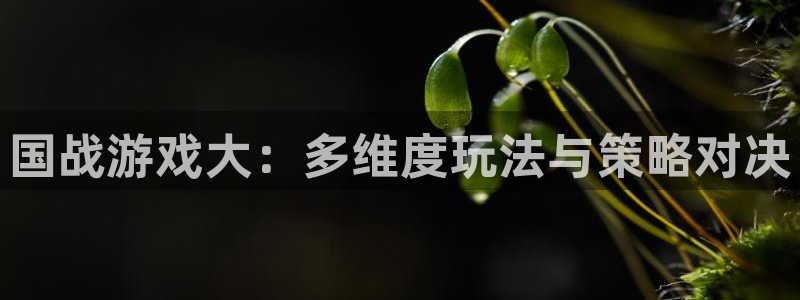 星欧娱乐手机网页版登录：国战游戏大：多维度玩法与策略对决
